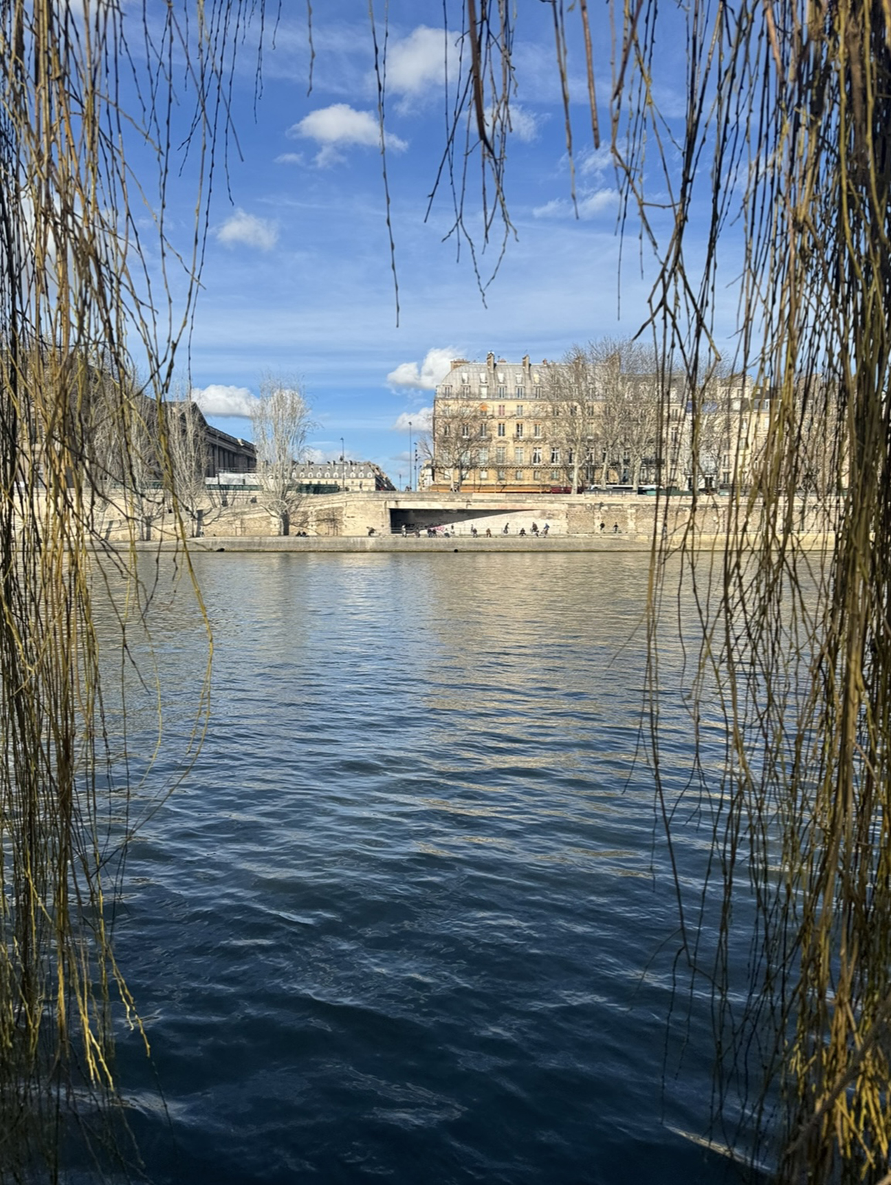 Willow branches frame a calm view across the Seine toward sunlit Parisian buildings and riverside walkways under a bright blue sky with scattered clouds. The water reflects the light and architecture, creating a quiet, contemplative cityscape.