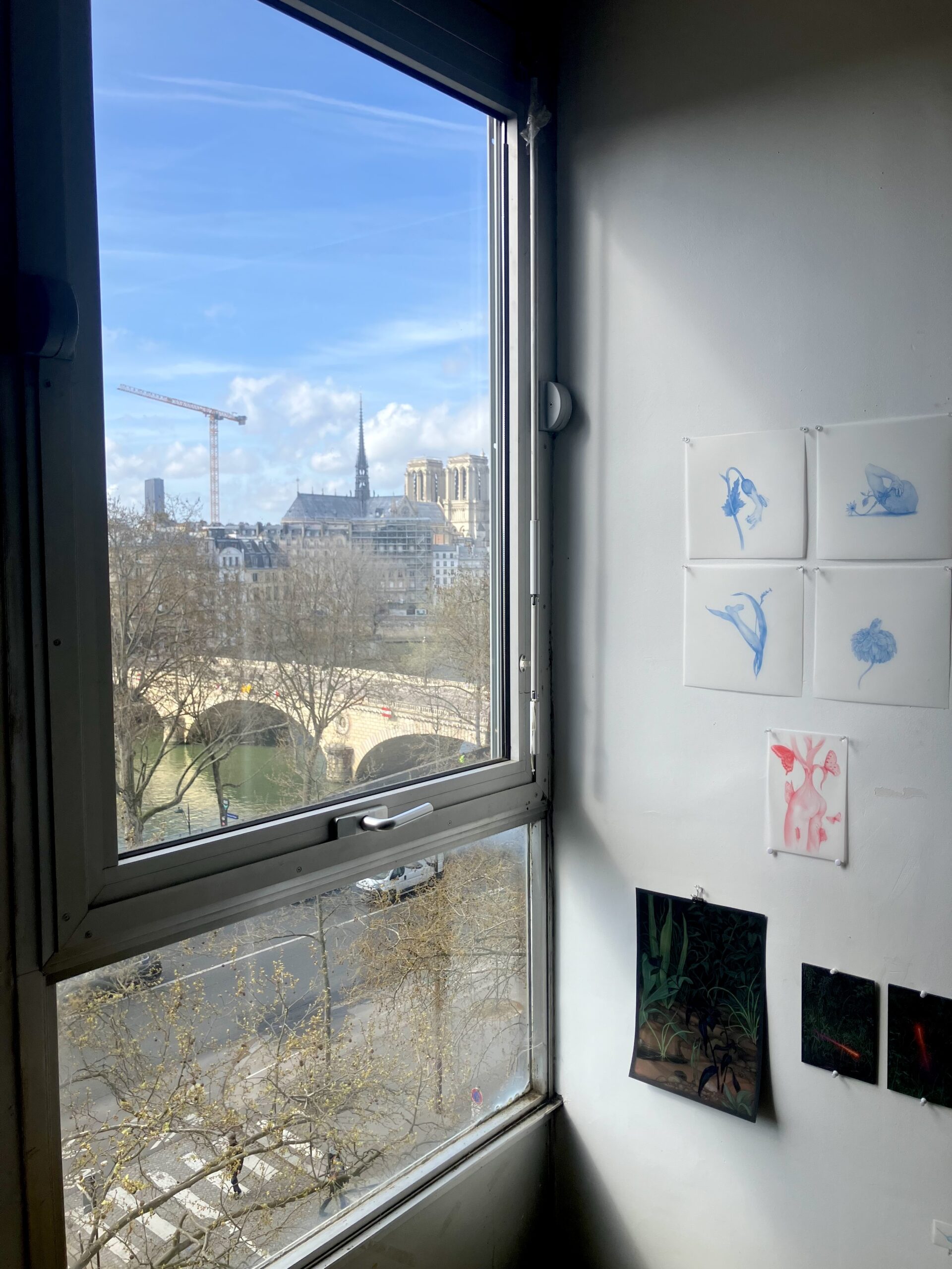 A tall window frames a daytime view of Paris, including the Seine River, a stone bridge, and the towers and spire of Notre-Dame Cathedral in the distance beneath a bright blue sky. Inside the studio, a white wall beside the window displays a small arrangement of delicate artworks: pale blue botanical and figurative drawings pinned in a grid, a pink-toned anatomical or floral image, and several darker paintings featuring dense foliage and glowing red forms.
